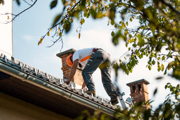 Best Residential Roofing Contractor  in Burlington, KY