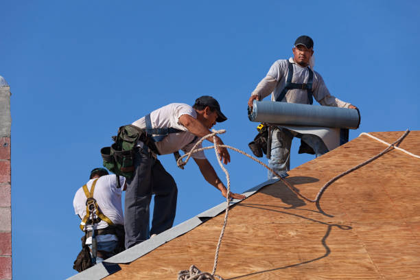 Best Roof Waterproofing Services  in Burlington, KY